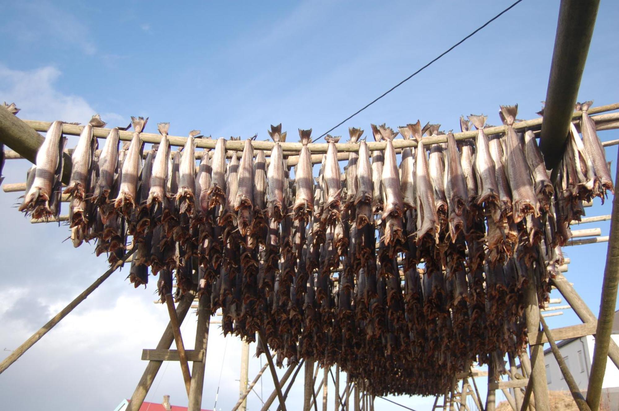 Fiskarheimen Havly, Rost Hotel Luaran gambar