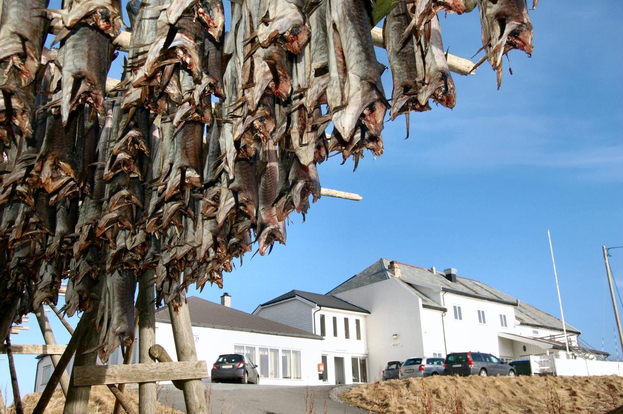 Fiskarheimen Havly, Rost Hotel Luaran gambar