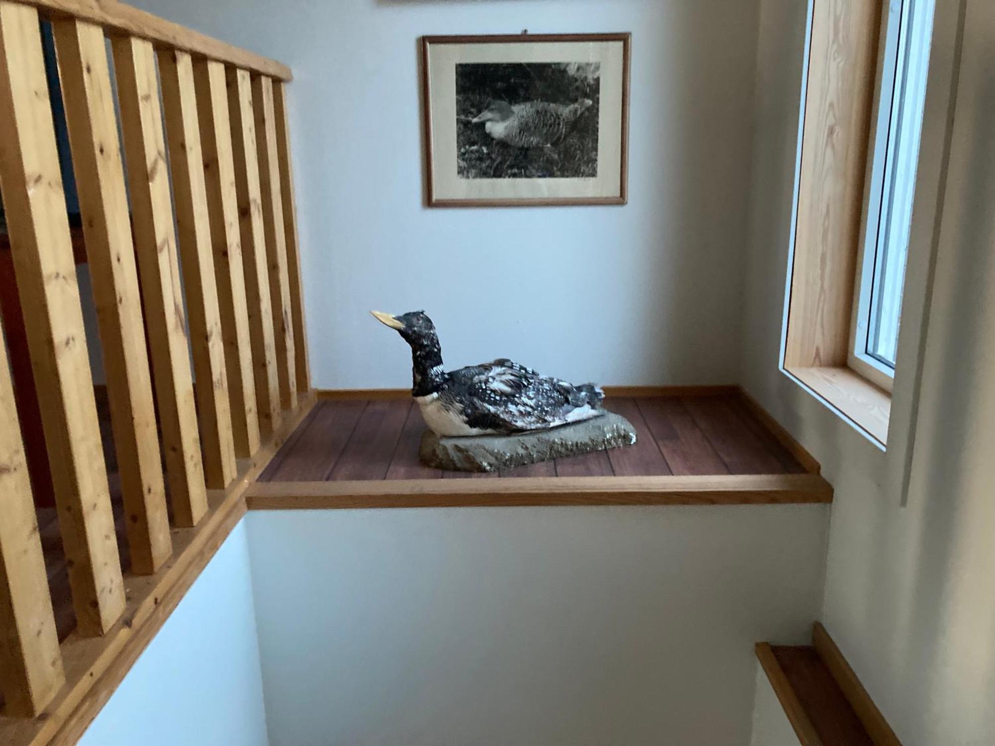 Fiskarheimen Havly, Rost Hotel Luaran gambar