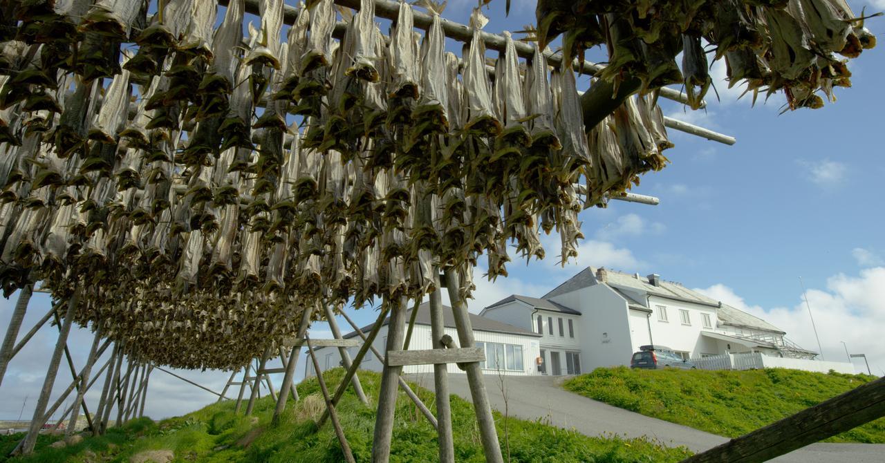 Fiskarheimen Havly, Rost Hotel Luaran gambar
